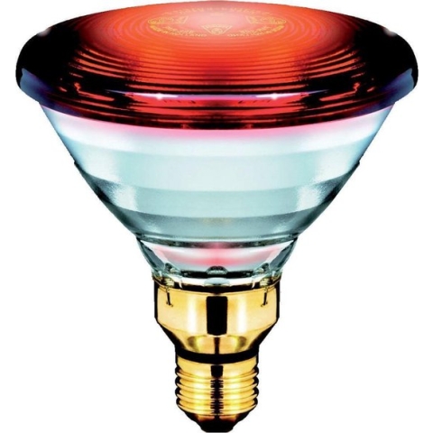 Philips Infraroodlamp PAR38 IR - 150W E27 230V - Rood 12887415