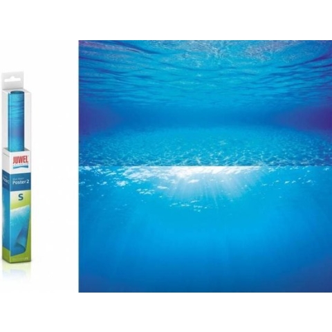 Juwel poster 2 - Maat (lxb): 60 x 30 cm