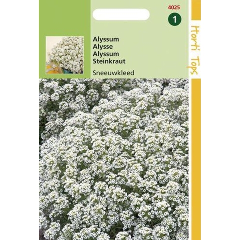 Hortitops zaden - Alyssum Bloemzaad - Sneeuwkleed