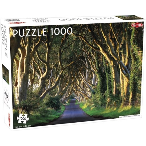 Puzzel Dark Hedges in Northern Ireland 1000 Stukjes