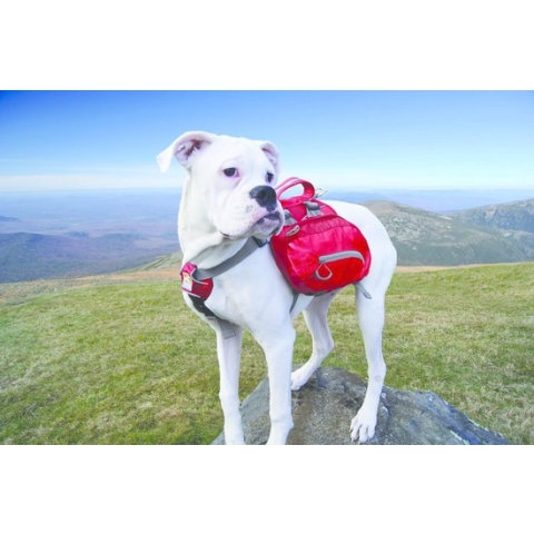 Kurgo Baxter - Hondenrugzak & Harnas - Stevig, Lichtgewicht en Comfortabel - Rood - Large - Large - 22-50kg