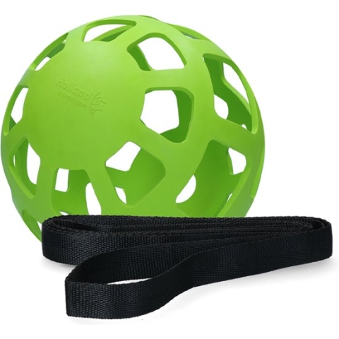 Hay Slowfeeder Fun&Flex – Hooi Slowfeeder voor paarden – Geschikt voor grazende dieren – Tegen stalververling – Bevordert de gezondheid – Tot 1 kg hooi - Ø 22 CM – Groen