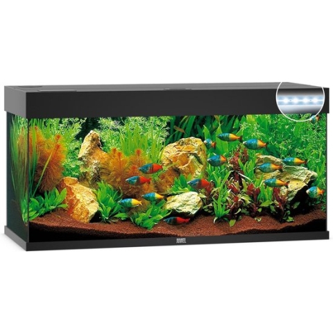 Juwel Rio 240 LED Aquarium Zwart Aquarium - Los aquarium