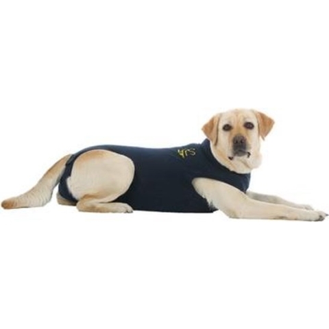 Medical Pet Shirt Hond - Blauw M plus