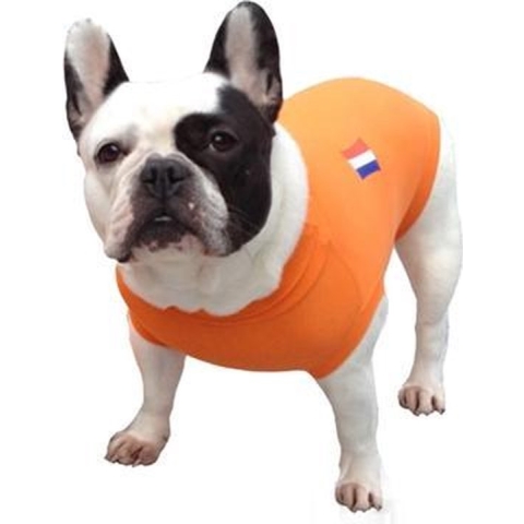 Medical Pet Shirt Hond Oranje - L