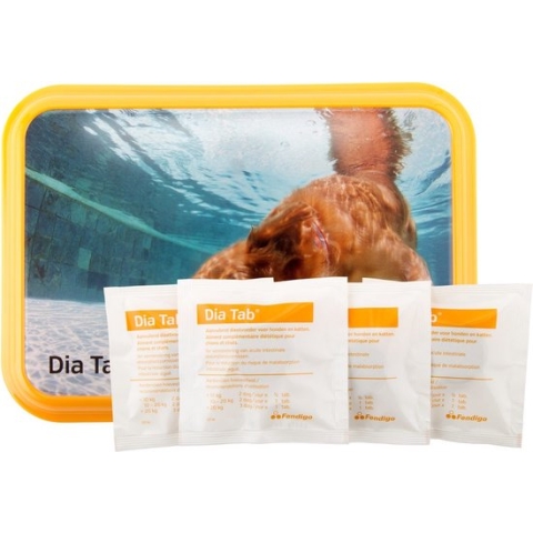 Dia Tab Clinic Box - 20 tabletten