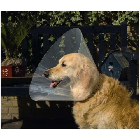 Beeztees Hondenkraag - Transparant - S - 28-33x12.5 cm