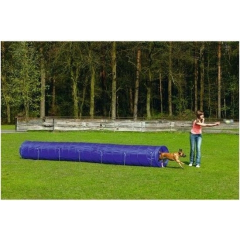 Agility Tunnel Large 525x60x60 cm
