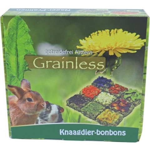JR Farm knaagdier Grainless bonbons 125 gram a 9 stuks 20398
