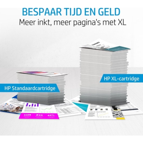 Original Ink Cartridge HP C2P04AE Black