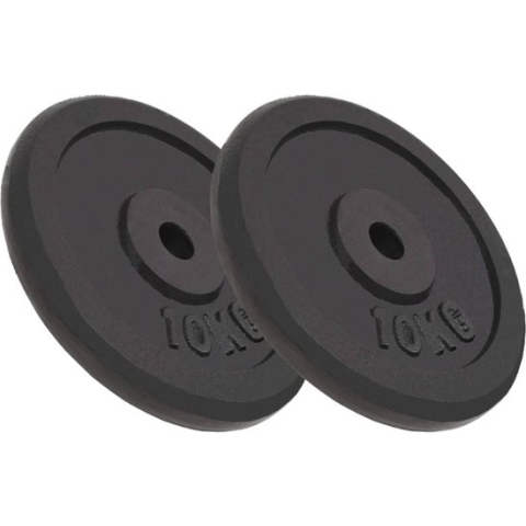 vidaXL-Halterschijven-2-st-2x10-kg-gietijzer