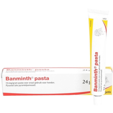 Banminth pasta Hond 24 g