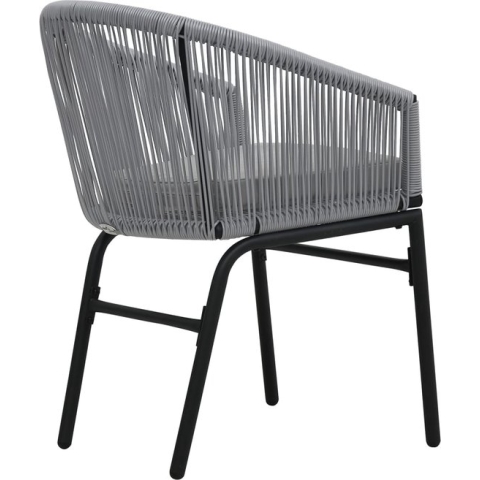 vidaXL-Tuinstoelen-2-st-PE-rattan-antracietkleurig