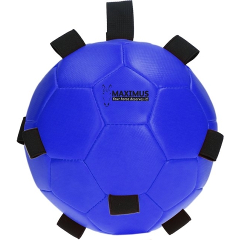 Maximus Fun Play Ball Blauw
