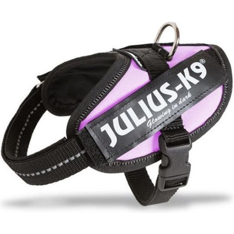 WERELD BEKENDE JULIUS K9 IDC POWERTUIG VOOR TEKSTLABELS ROZE MAAT 1