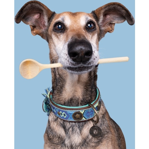 DWAM Dog with a Mission Halsband Hond – Hondenhalsband – Blauw – XL – Leer – Halsomvang tussen 47-57 x 4 cm – Boho Juan