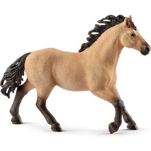 schleich HORSE CLUB - Quarter Horse hengst - Speelfiguur - Kinderspeelgoed voor Jongens en Meisjes - 5 tot 12 jaar - 13853
