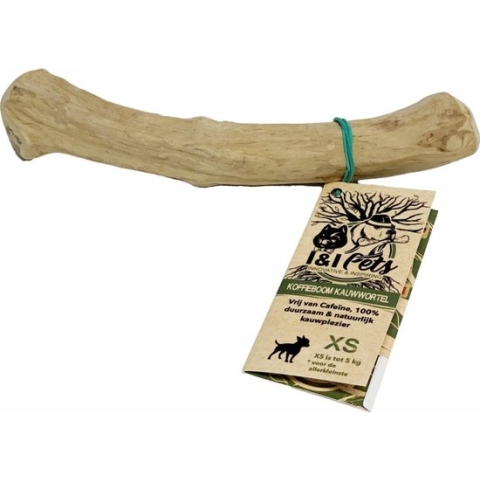 Zoolekker Koffieboom Kauwwortel XS