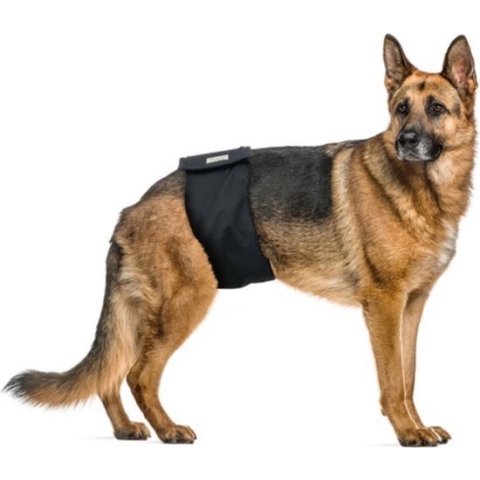 Vetlando Plasband Reu