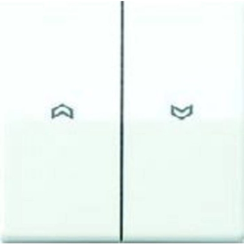 Jung AS500 Schakelelement/Centrale Plaat - AS591-5PWW - E32R4