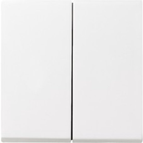 Gira Systeem 55 Besturingselement/Centrale plaat Schakelmateriaal - 029527 - E29DU