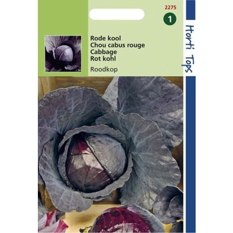 Hortitops Zaden - Rodekool Roodkop ( Cabeza Negra 2 )