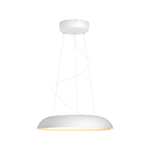 Philips Hue Amaze Hanglamp Wa Ds Wit