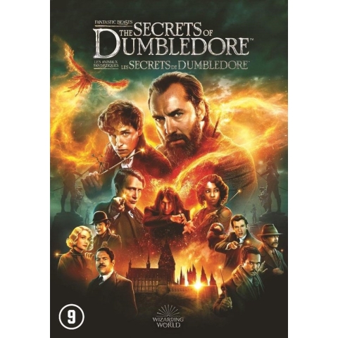Fantastic Beasts - The Secrets Of Dumbledore (DVD)