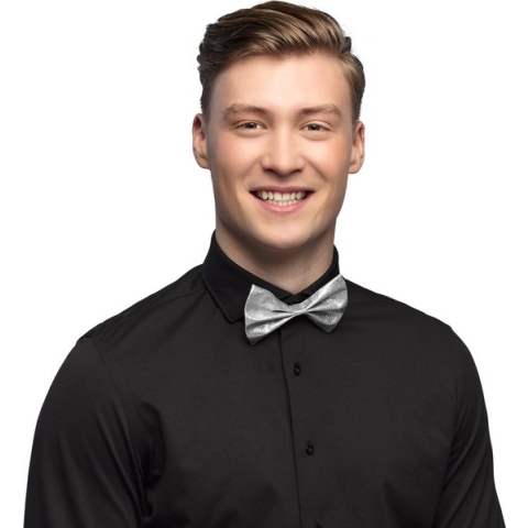 Boland - Vlinderstrik Glitter zilver Zilver - Volwassenen - Mannen - - Glitter and Glamour