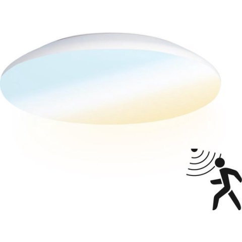 LED Plafondlamp/Plafonniere met Sensor 12W Lichtkleur instelbaar - 1300lm - IK10 - Ø25 cm - RVS - IP65