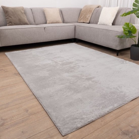 Lichtgrijs Tapijt Wasbaar Laagpolig Vloerkleed met Anti Slip Koho Soft Comfort Wasbaar op 30° - 200x290cm- Modern - Woonkamer - Salon - Slaapkamer - Eetkamer