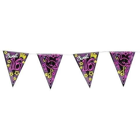 Paper Dreams Vlaggenlijn Sweet 16 Dames 10 Meter Zwart/roze