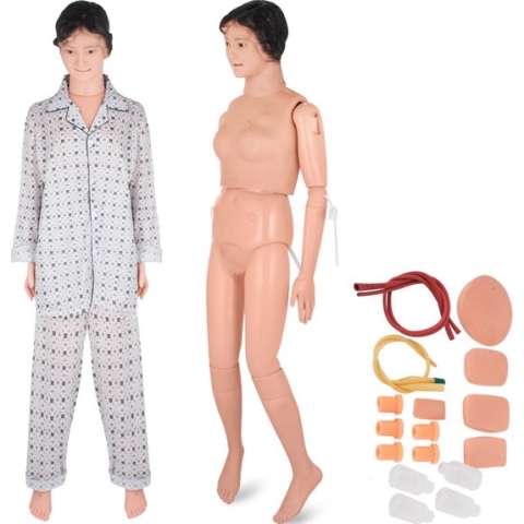 Rubber Care Demonstratie Mannelijke Anatomische Grooming Medisch Model Onderwijs Onderwijs Educatieve Benodigdheden Vrouw