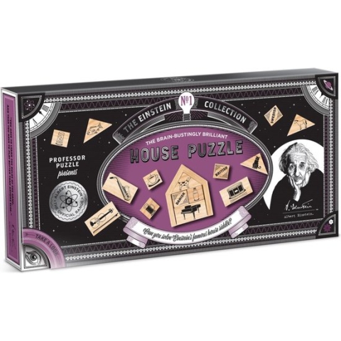 Professor Puzzle Einstein House Puzzle