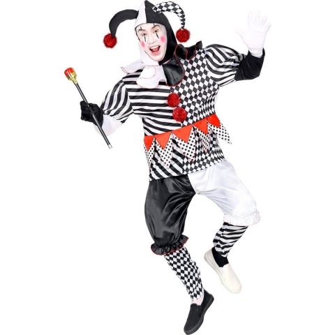 Widmann - Clown & Nar Kostuum - Paljas Van Het Hof Harlekijn - Man - - XL - Carnavalskleding - Verkleedkleding