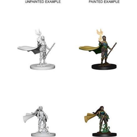 D&D Nolzur's Marvelous Miniatures : Elf Druid