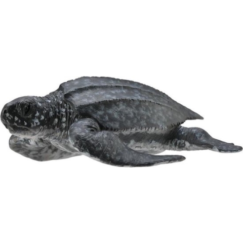 Collecta Zeedieren (M): LEDERSCHILDPAD 8.5x3cm