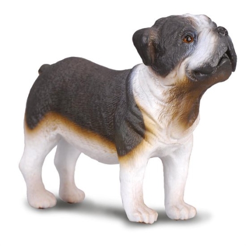 Collecta Honden (M): BULLDOG 7.3x3.8x6cm