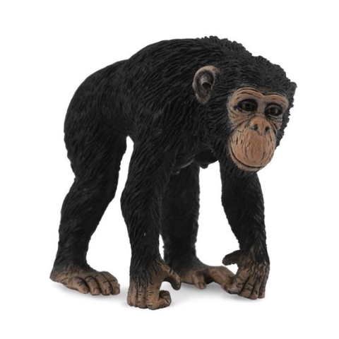 Collecta Wilde dieren (M): CHIMPANSEEWIJFJE 5.5x3.5x5cm