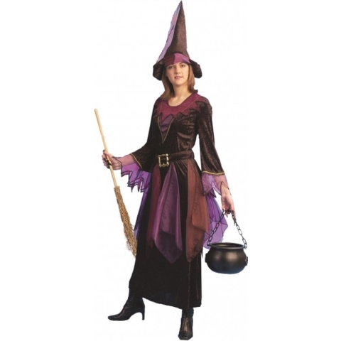 Halloween Paarse heksen jurk inclusief hoed 36-38 (s/m)