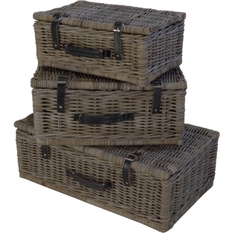 Koffer 53x35x25 in Grijs Rotan