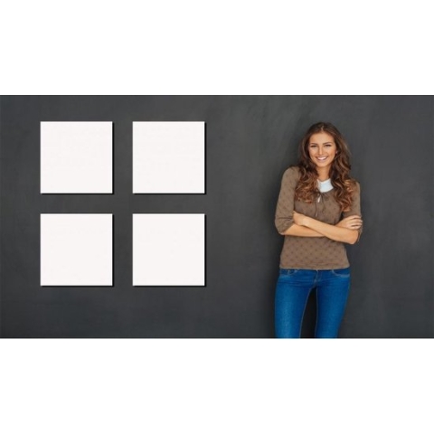 Ecaros metalen infrarood stralingspaneel 360 Watt, systeemplafond plaat