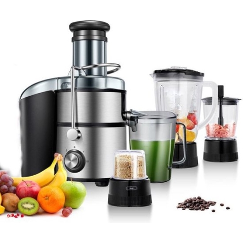 Royalty Line PJ19003 4 in 1 Slowjuicer - Blender / Hakmolen / Koffiemolen - Sapcentrifuge voor Groenten & Fruit - Juicer met 1 Liter Sapbeker en 2 Liter Pulpreservoir - Power Juicer met 3 Snelheden - 1000W - Multi Juicer - Zilver