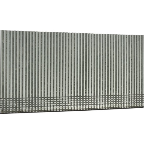 Makita F-34043 Brad RVS 38mm VE=2000