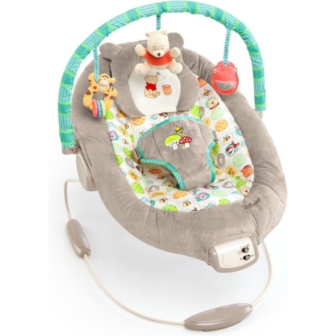 Disney Baby Winnie The Pooh Wip Met Vibraties, Automatische Uitschakelfunctie, Melodieën, Volumeregelaar, Afneembare Hoofdsteun En Speelboog, Grijs, 48.26 x 58.42 x 58.42 cm