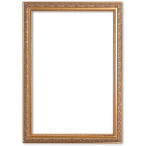 Barok Lijst 30x45 cm Goud - Daniel