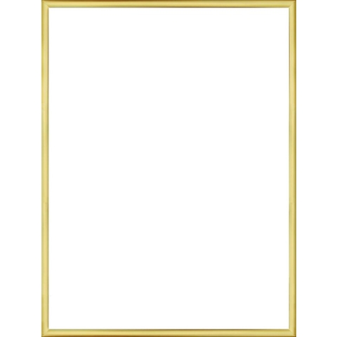 Homedecoration Almelo – Fotolijst – Fotomaat – 59,4 x 84 cm – Goud Glans