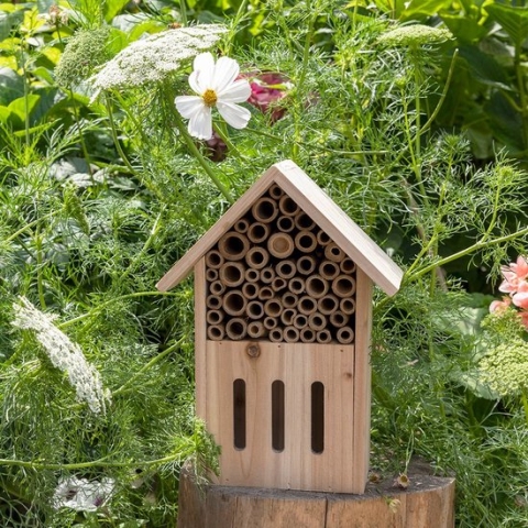 Your garden Vlinder en Bijen Hotel Rex London