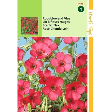 Hortitops Zaden - Linum Rubrum Grandiflorum, Rood