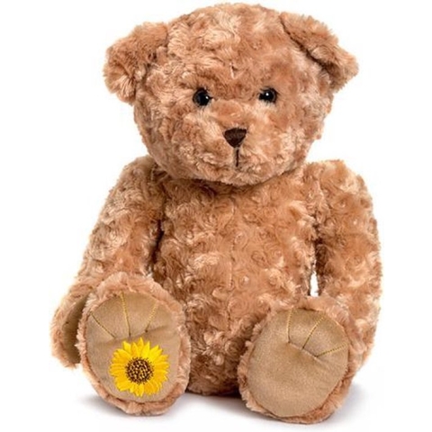 Memorie Beer Knuffel Urn Kinder Mini Nieuw Asbestemming Beer Kinderurn Rouwverwerking